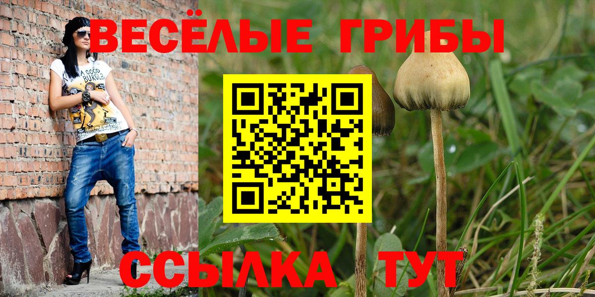 Псилоцибиновые грибы GOLDEN TEACHER Щёлково
